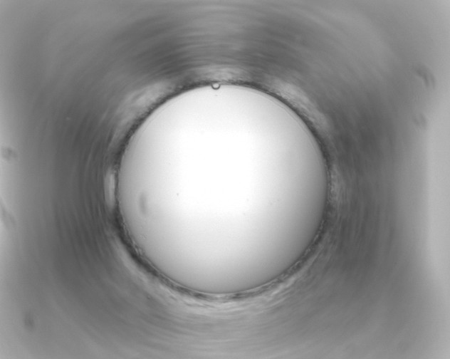 X0000091330014200708101010