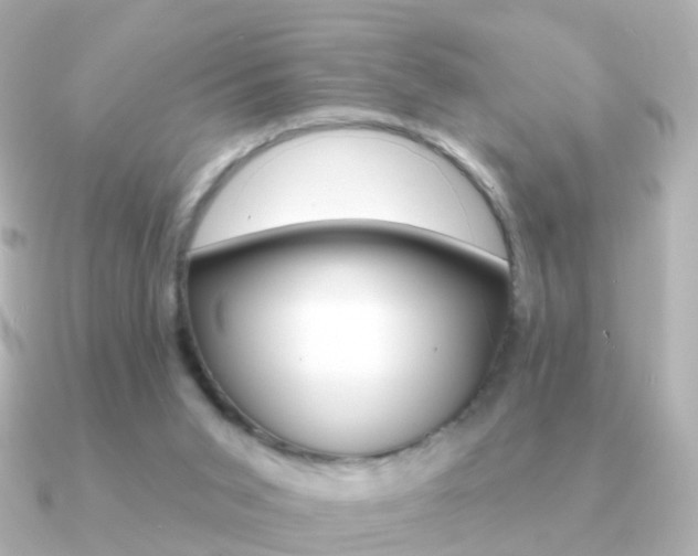 X0000091330015200708101010