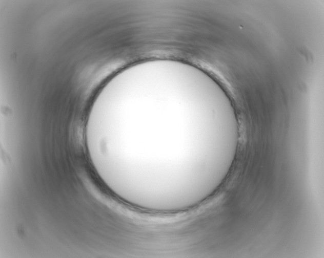 X0000091330016200708101010