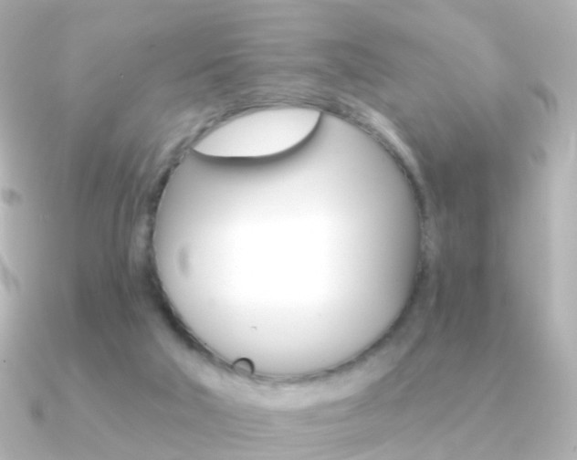 X0000091330018200708101009