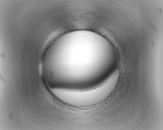 X0000091330019200708101009