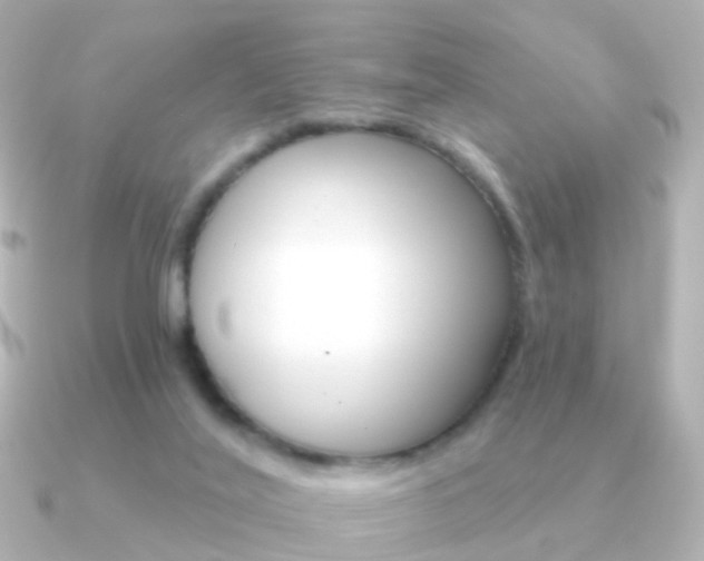 X0000091330020200708101009