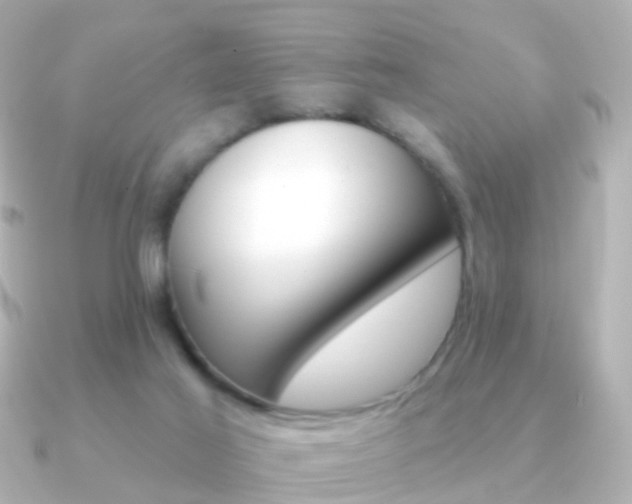 X0000091330021200708101009