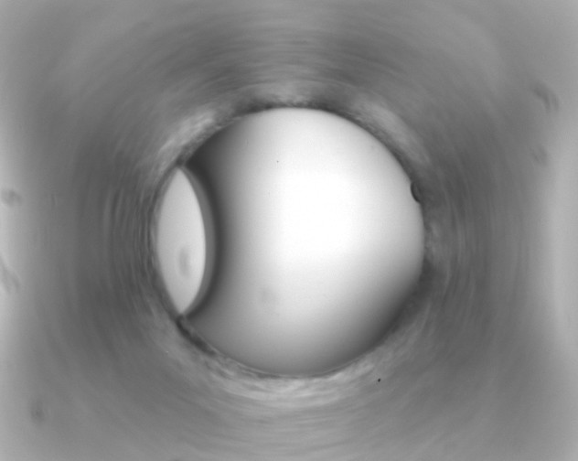 X0000091330023200708101009