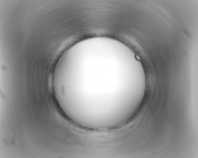 X0000091330024200708101009