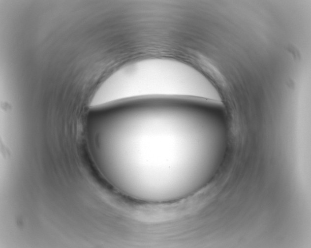 X0000091330025200708101009