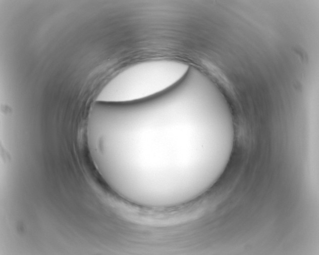 X0000091330026200708101009