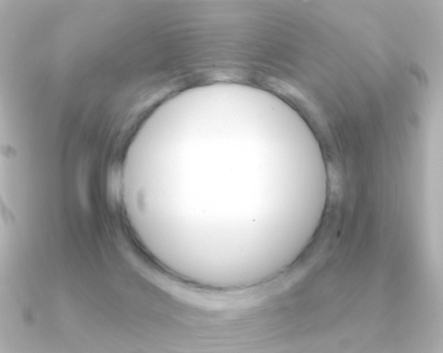 X0000091330028200708101009