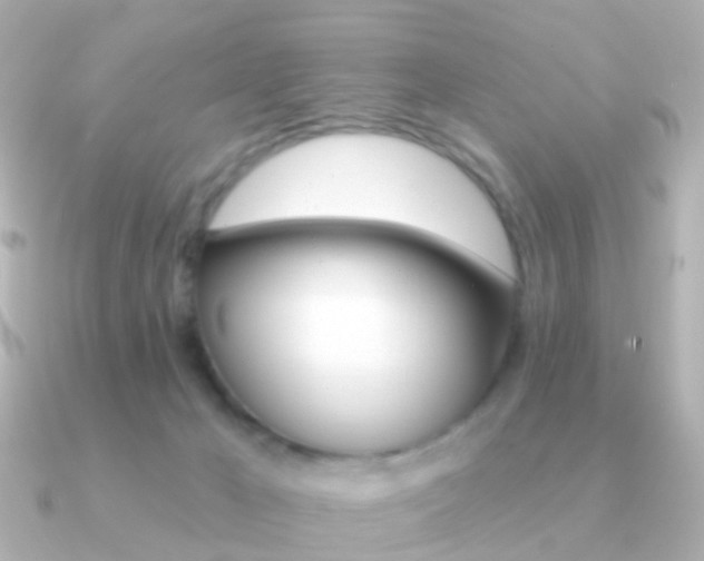 X0000091330029200708101009