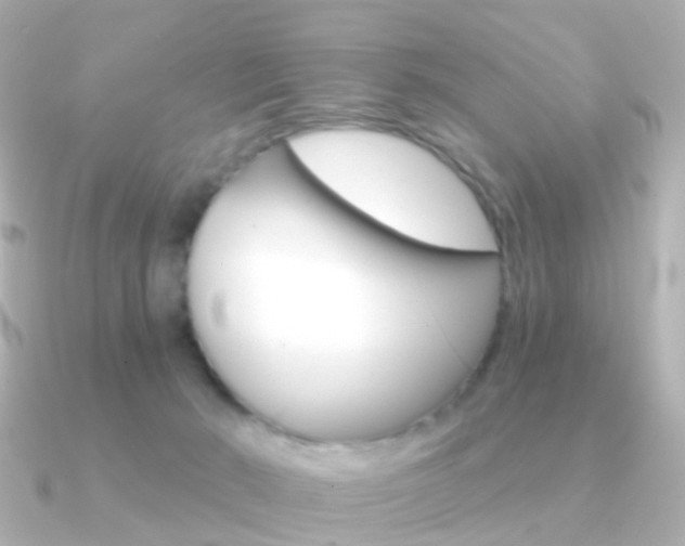 X0000091330030200708101009