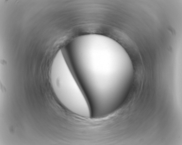 X0000091330031200708101009