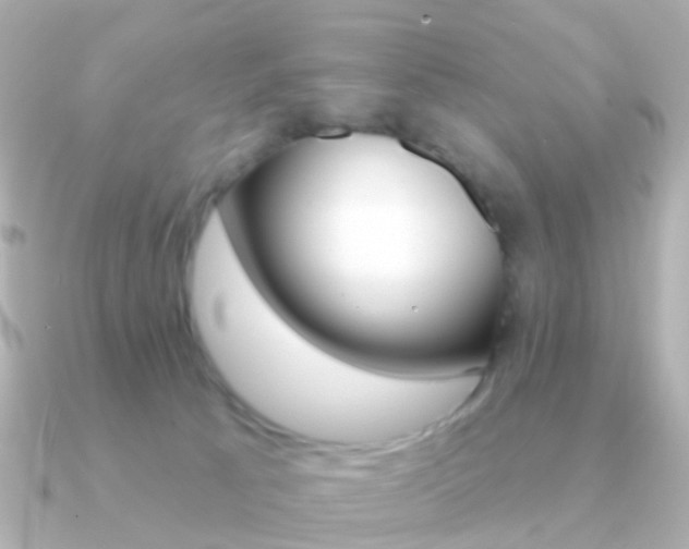X0000091330033200708101009