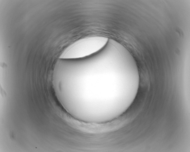 X0000091330034200708101009