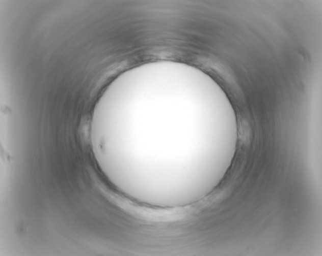 X0000091330036200708101009