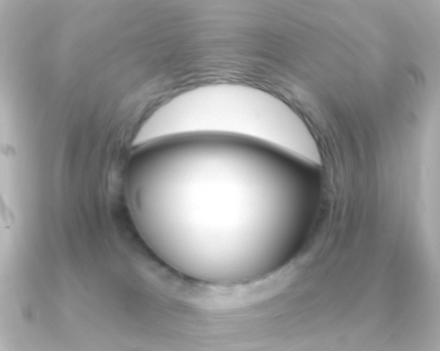 X0000091330037200708101009