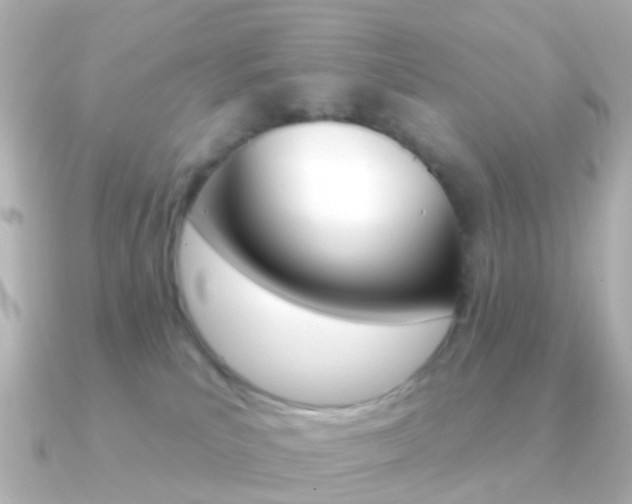 X0000091330039200708101009