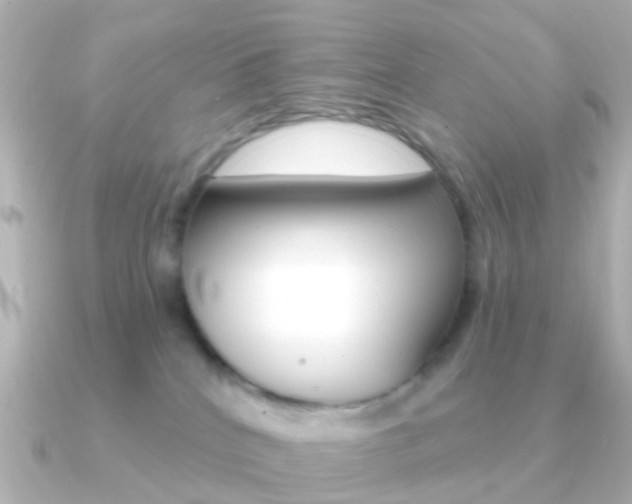 X0000091330040200708101009