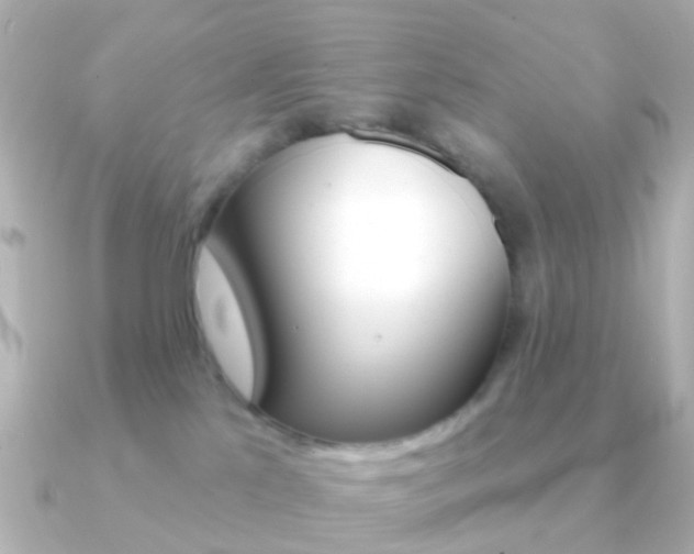 X0000091330041200708101009