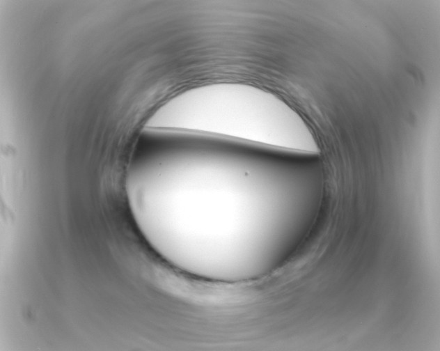 X0000091330044200708101009