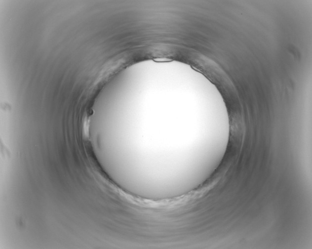 X0000091330046200708101009