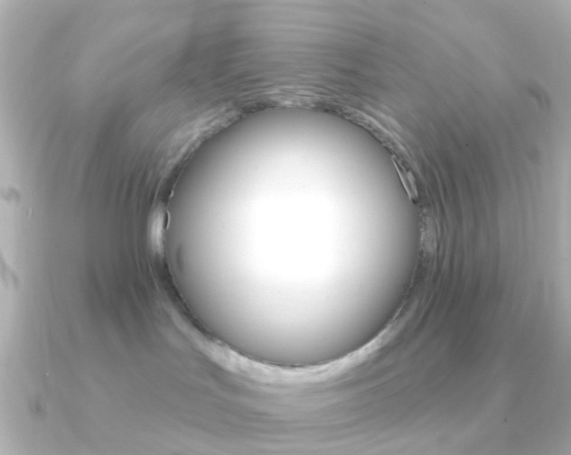 X0000091330047200708101009