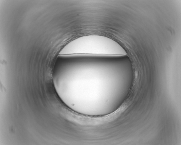 X0000091330048200708101009