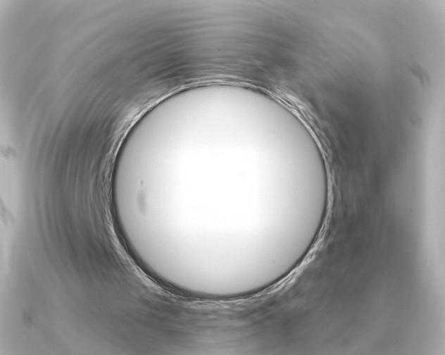 X0000091330049200708101009