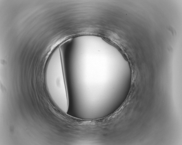 X0000091330050200708101009