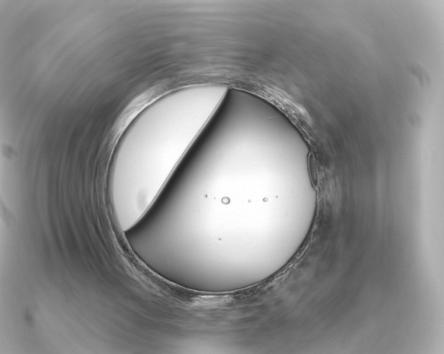 X0000091330051200708101009