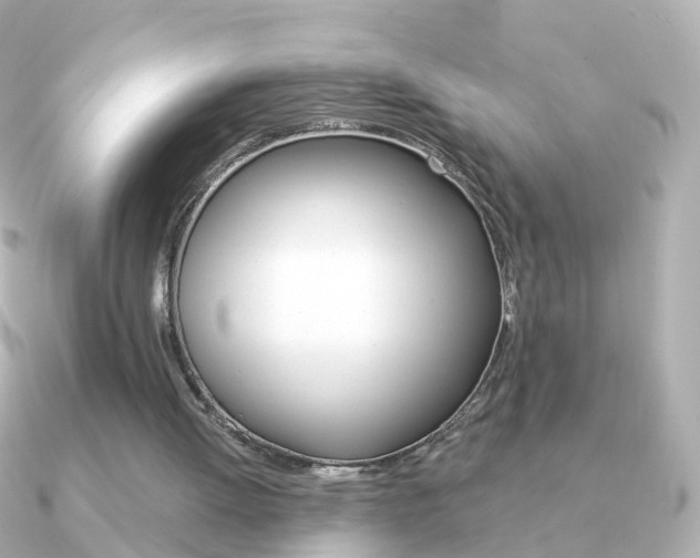 X0000091330052200708101009