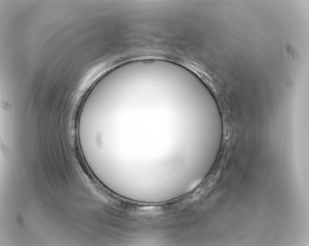 X0000091330053200708101009