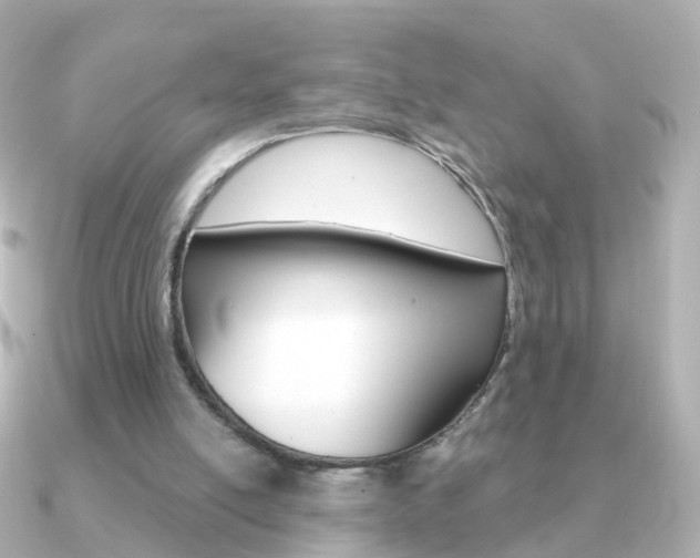 X0000091330054200708101009