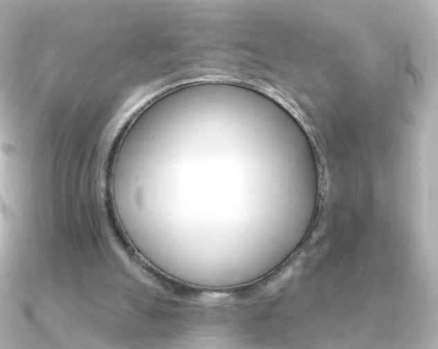 X0000091330055200708101009
