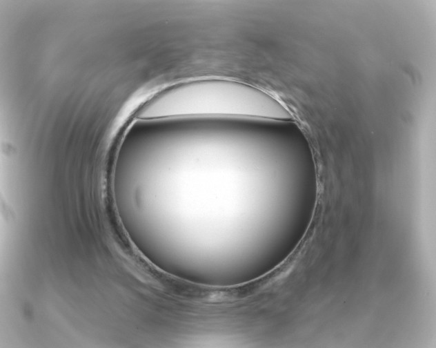 X0000091330056200708101009