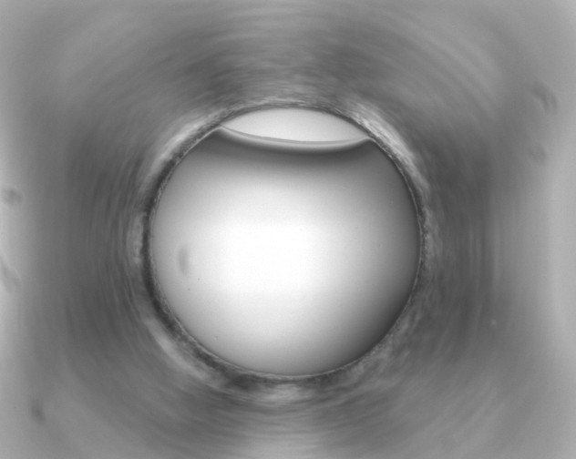 X0000091330058200708101009