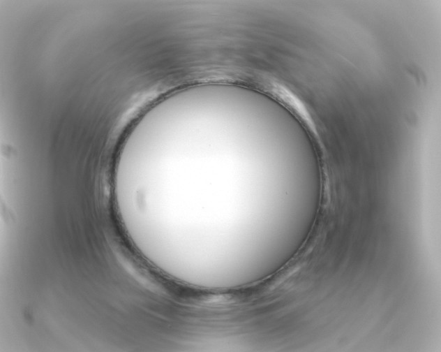 X0000091330059200708101009