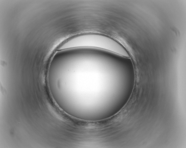 X0000091330060200708101009