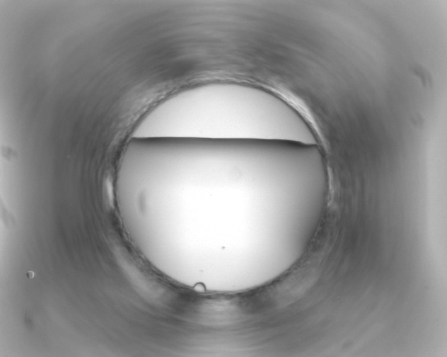 X0000091330061200708101009