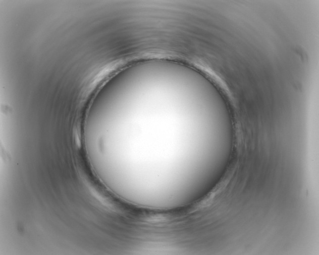 X0000091330062200708101009