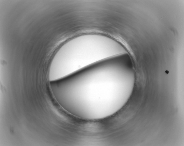 X0000091330063200708101009