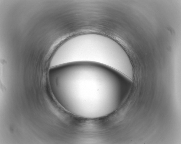 X0000091330064200708101009