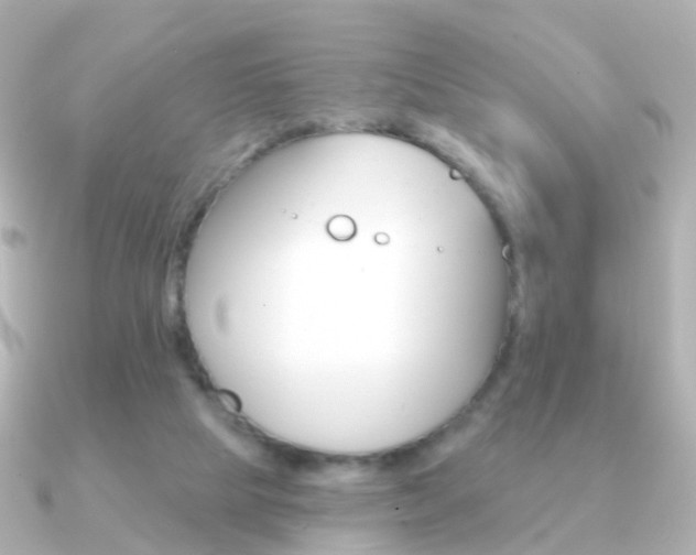X0000091330065200708101009