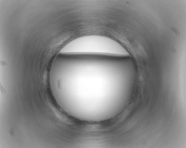 X0000091330066200708101009