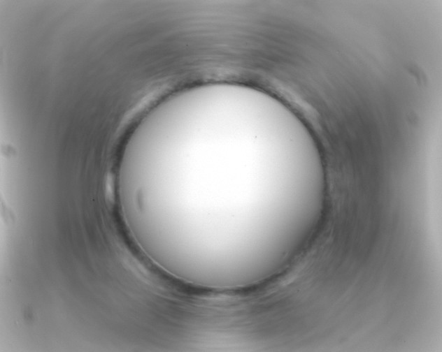 X0000091330067200708101009