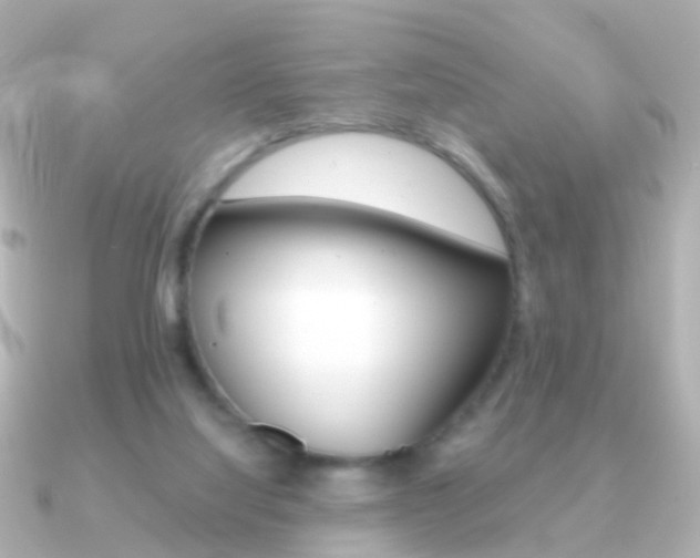 X0000091330068200708101009