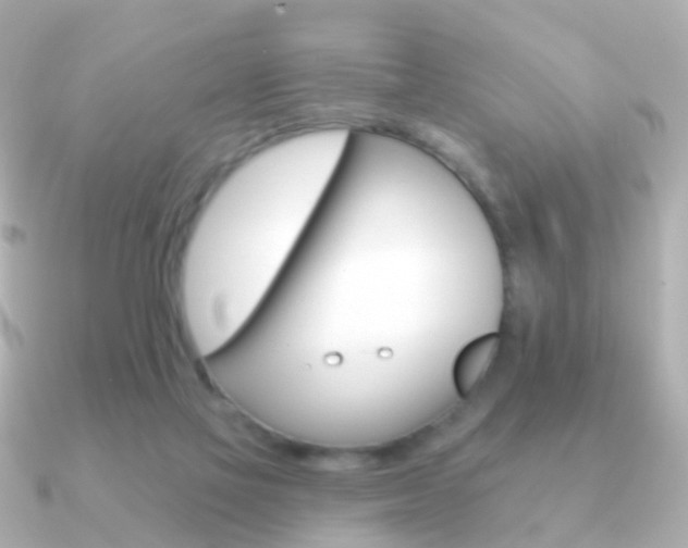 X0000091330069200708101009