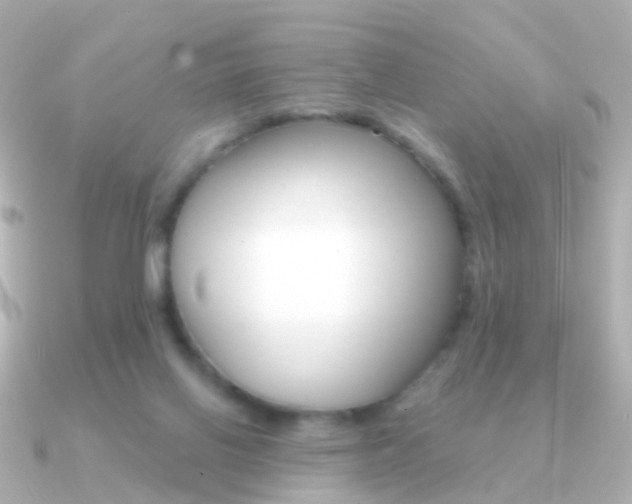 X0000091330070200708101009