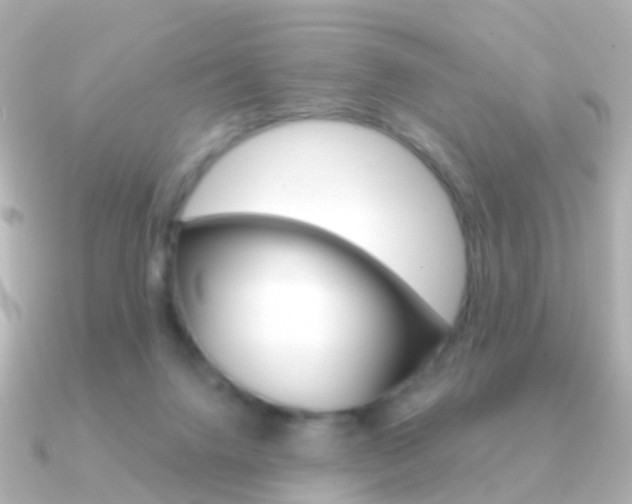 X0000091330072200708101009