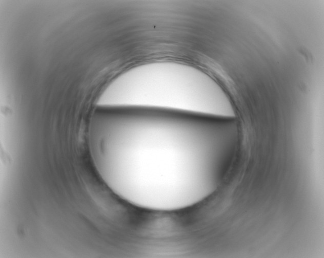 X0000091330073200708101009
