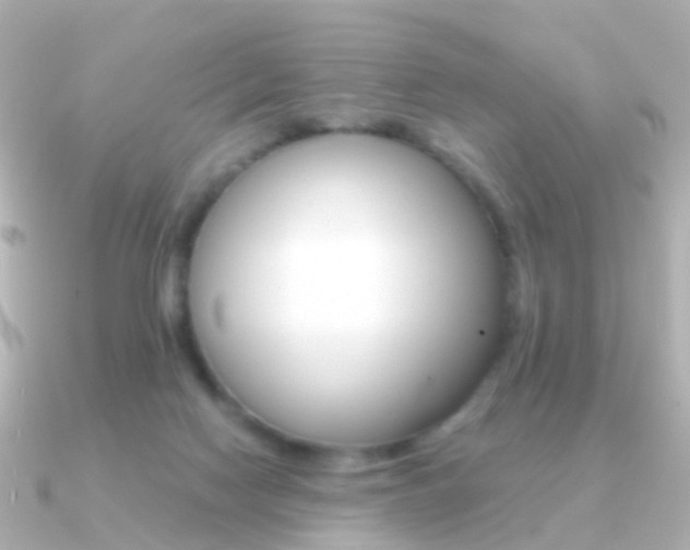 X0000091330074200708101009
